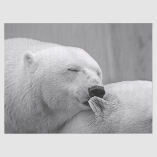 ホッキョクグマティッシュペーパー 薄葉紙 (正面)