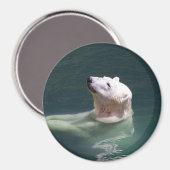 ホッキョクグマ休息 マグネット (正面/裏面)