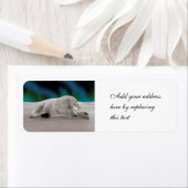 ホッキョクグマ休息 ラベル (インサイチュ)