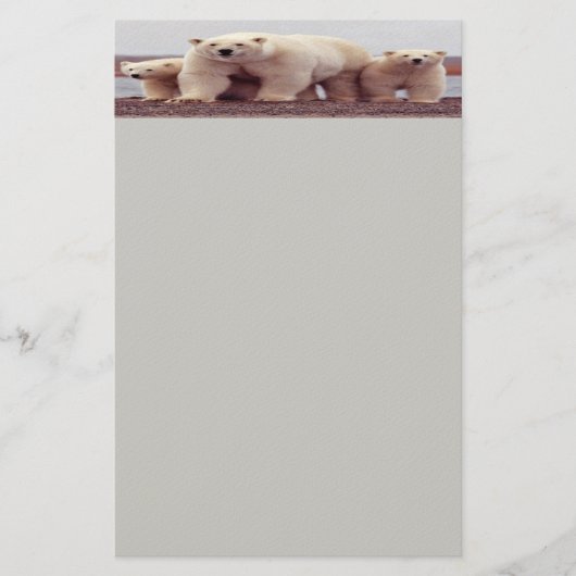 ホッキョクグマ文房具 便箋 (正面)