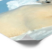 ホッキョクグマ科 ポスター (角)