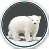 ホッキョクグマ絵画のキューブ – Oiginal Wildlife Art シール (正面)