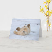 ホッキョクグマ、ウルソマリティムス転が、クブの3 カード (黄色い花)