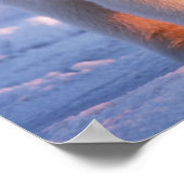 ホッキョクグマ、ウルソマリティムス、大きなイノシシ ポスター (角)