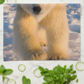 ホッキョクグマ、ウルソマリティムス、氷上のホッキグマ キッチンタオル (折り畳み)