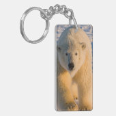 ホッキョクグマ、ウルソマリティムス、氷上のホッキグマ キーホルダー (正面左)