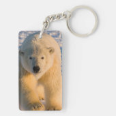 ホッキョクグマ、ウルソマリティムス、氷上のホッキグマ キーホルダー (裏面)