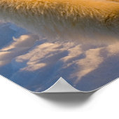 ホッキョクグマ、ウルソマリティムス、氷上のホッキグマ ポスター (角)