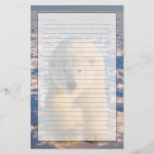 ホッキョクグマ、ウルソマリティムス、氷上のホッキグマ 便箋 (正面)