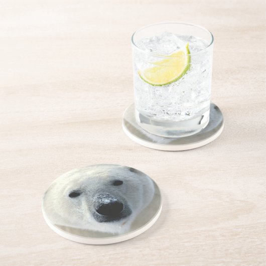 ホッキョクグマ コースター (側面)