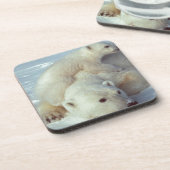 ホッキョクグマ コースター (左側)
