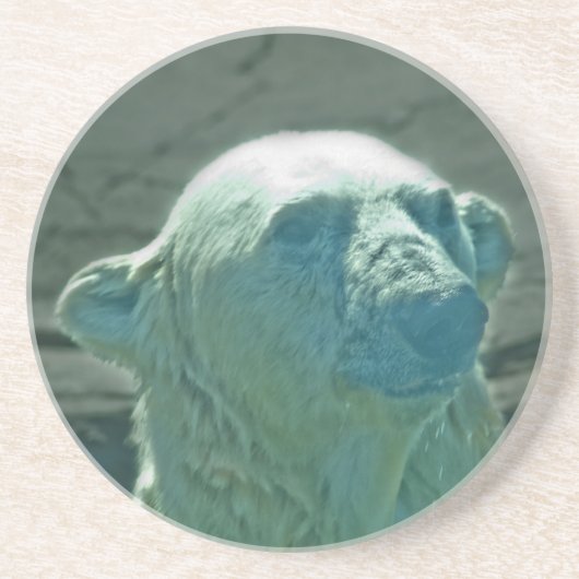 ホッキョクグマ・コースター コースター (正面)