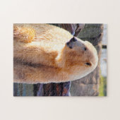 ホッキョクグマ ジグソーパズル (横)