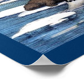 ホッキョクグマ、セイウチ、アザラシ ポスター (角)