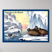 ホッキョクグマ、セイウチ、アザラシ ポスター (正面)