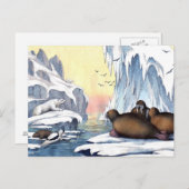 ホッキョクグマ、セイウチ、アザラシ ポストカード (正面/裏面)