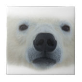 ホッキョクグマ タイル (正面)