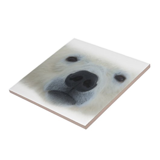 ホッキョクグマ タイル (側面)