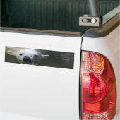 ホッキョクグマ バンパーステッカー (トラック上)