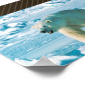 ホッキョクグマ ポスター (角)