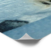 ホッキョクグマ ポスター (角)