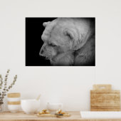 ホッキョクグマ ポスター (キッチン)