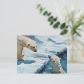 ホッキョクグマ ポストカード (スタンド正面)