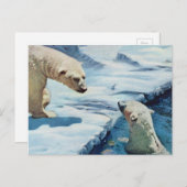 ホッキョクグマ ポストカード (正面/裏面)