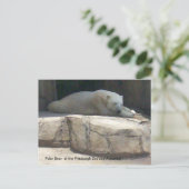 ホッキョクグマ ポストカード (スタンド正面)