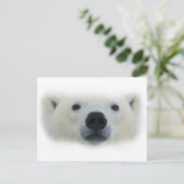 ホッキョクグマ ポストカード (スタンド正面)