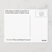 ホッキョクグマ ポストカード (裏面)