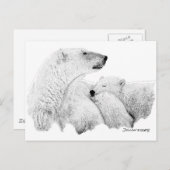 ホッキョクグマ ポストカード (正面/裏面)