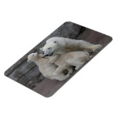 ホッキョクグマ マグネット (左側)