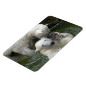 ホッキョクグマ マグネット (左側)