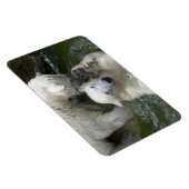 ホッキョクグマ マグネット (右側)