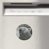 ホッキョクグマ マグネット (インサイチュ (食洗機))