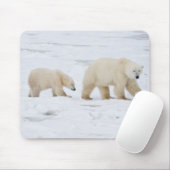 ホッキョクグマ、メスと二匹の子ネコ マウスパッド (マウス)