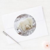 ホッキョクグマ、メスと二匹の子ネコ ラウンドシール (封筒)