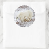 ホッキョクグマ、メスと二匹の子ネコ ラウンドシール (バッグ)