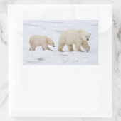 ホッキョクグマ、メスと二匹の子ネコ 長方形シール (バッグ)