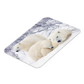 ホッキョクグマ、メスと2匹の子3 マグネット (左側)