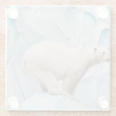 ホッキョクグマ：動物園の生息地の垣根 ガラスコースター (裏面)