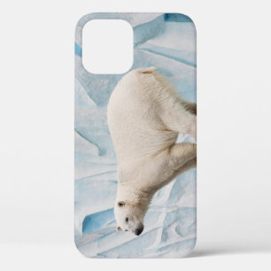 ホッキョクグマ:動物園の生息地の垣根 iPhone 12ケース