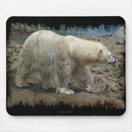 ホッキョクグマ 北極 動物 クマ好き マウスパッド (正面)