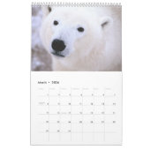 ホッキョクグマ – 12か月カレンダー カレンダー (3月 2026)