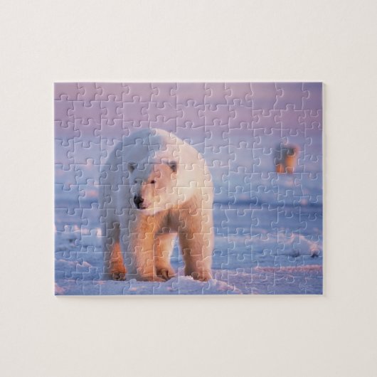 ホッキョクグマ, Ursus maritimus ジグソーパズル (横)