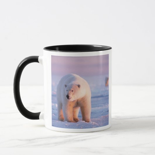 ホッキョクグマ, Ursus maritimus マグカップ (左)