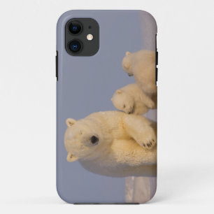 ホッキョクグマ Ursus maritimus 仔グマを産んだ母グマ iPhone 11 ケース