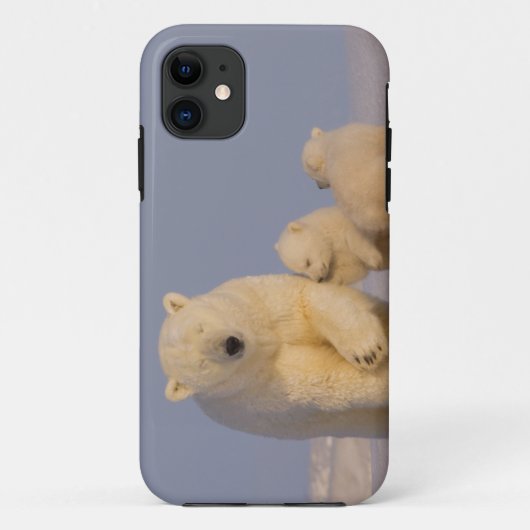ホッキョクグマ Ursus maritimus 仔グマを産んだ母グマ Case-Mate iPhoneケース (裏面)