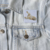 ホッキョクグマ、Ursus maritimus、子グマ 転がる 缶バッジ (インサイチュ)